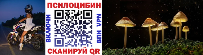 где купить наркоту  Красково  Псилоцибиновые грибы Psilocybine cubensis 
